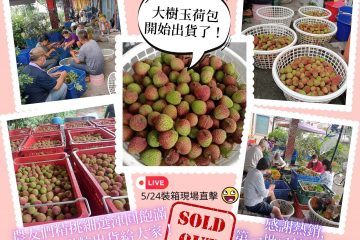 《完售》泰霖愛農嚴選優質台灣農產 – 大樹玉荷包荔枝
