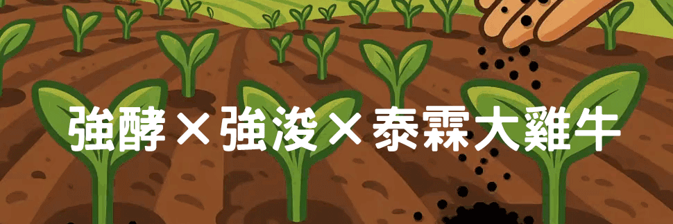 【雞牛雙效 肥力爆發】強酵×強浚×泰霖大雞牛