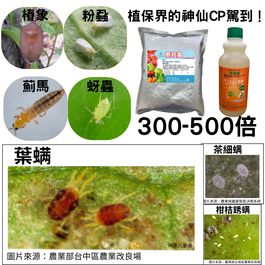 植保界的神仙CP駕到！ 泰菸蟲1kg 450元 蔬福油1L 600元 買六瓶送六瓶