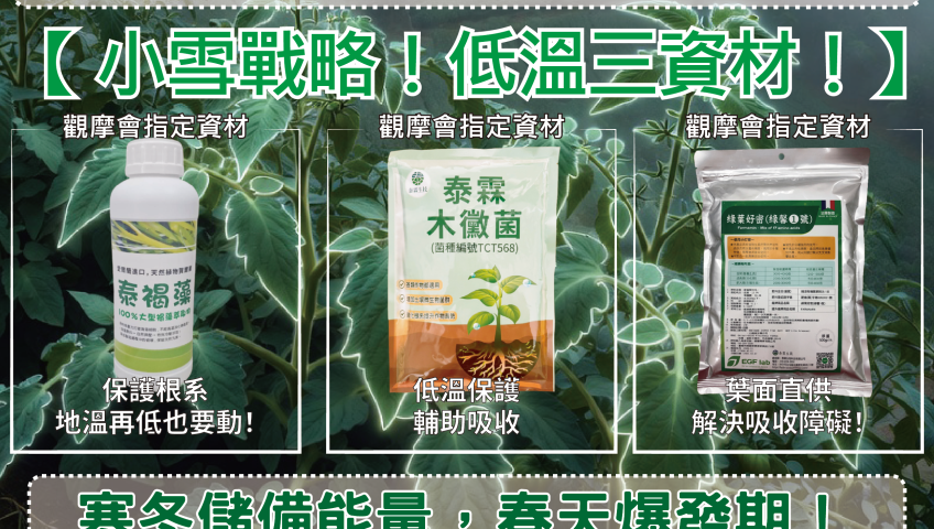 小雪精密戰略！攻克低溫三資材！