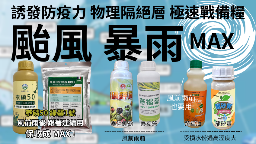 20251112泰霖極端氣候套餐 風前雨後 跟著連續用 保收成 MAX !