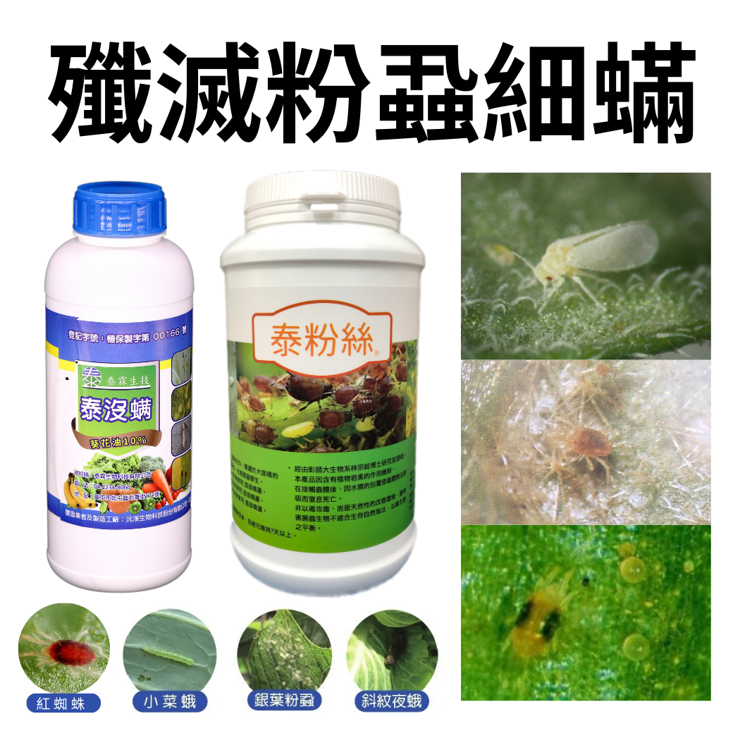 20251201泰沒蟎 + 泰粉絲 混合防治指南 (專攻細螨與粉蝨)