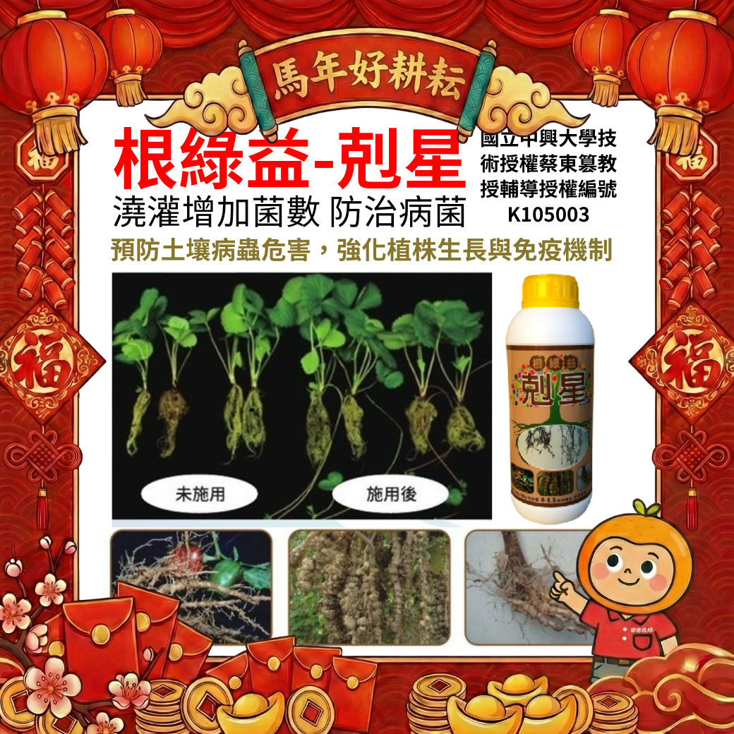 20260221根圈菌相太少、作物長不壯？根綠益剋星「澆灌＋葉面」雙管齊下，把好菌數一起拉上來！根綠益剋星是一種單一的放射線菌，主要功效是促進植物開根、活化土壤、抑制線蟲與害菌。