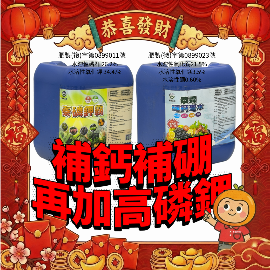 20260216果樹裂果、轉色慢？茄科坐果差？二桶補鈣補硼再加高磷鉀，全面照顧你的果樹與茄科作物產量與品質 硼鈣聖水10L　NT2300 泰磷鉀霸10L　NT3200