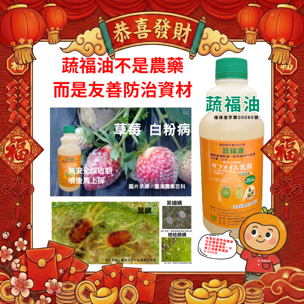20260211【紅蜘蛛很多？先別噴藥】蔬福油不是農藥，而是友善防治資材 用植物油「油封」紅蜘蛛，顧環境、顧作物、也顧通路驗殘安全