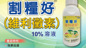 20260214維利黴素10%溶液劑水稻2500倍、甘藍600倍、番茄600倍、柑桔800倍、荖藤1000倍，細菌性病害專業配方穩定護產