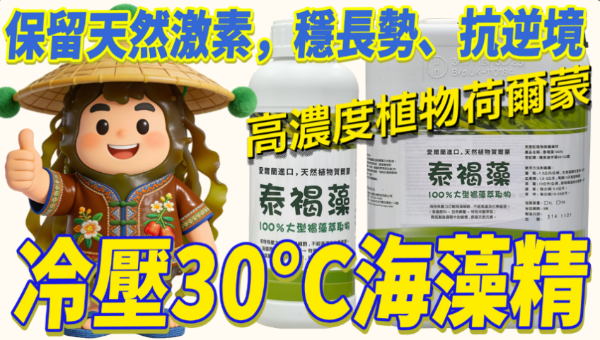 20260219泰褐藻｜冷壓30°C海藻精 保留天然激素、顧根又顧葉，葡萄、瓜果、蔬菜、草莓全程都能用，穩長勢、抗逆境、收成更漂亮