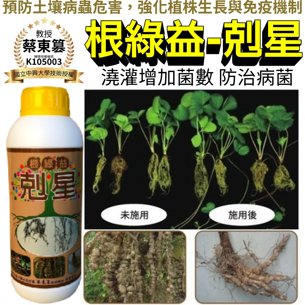 20260319根圈菌相太少、作物長不壯？根綠益剋星「澆灌＋葉面」雙管齊下，把好菌數一起拉上來！