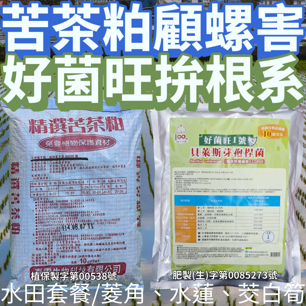 20260314苦茶粕顧螺害好菌旺幫你拚根系 福壽螺啃秧苗、啃嫩芽很煩嗎？苦茶粕有機質高、能處理螺害又顧土壤，搭配主打開根的好菌旺一起用，田區長勢更整齊、根系更漂亮