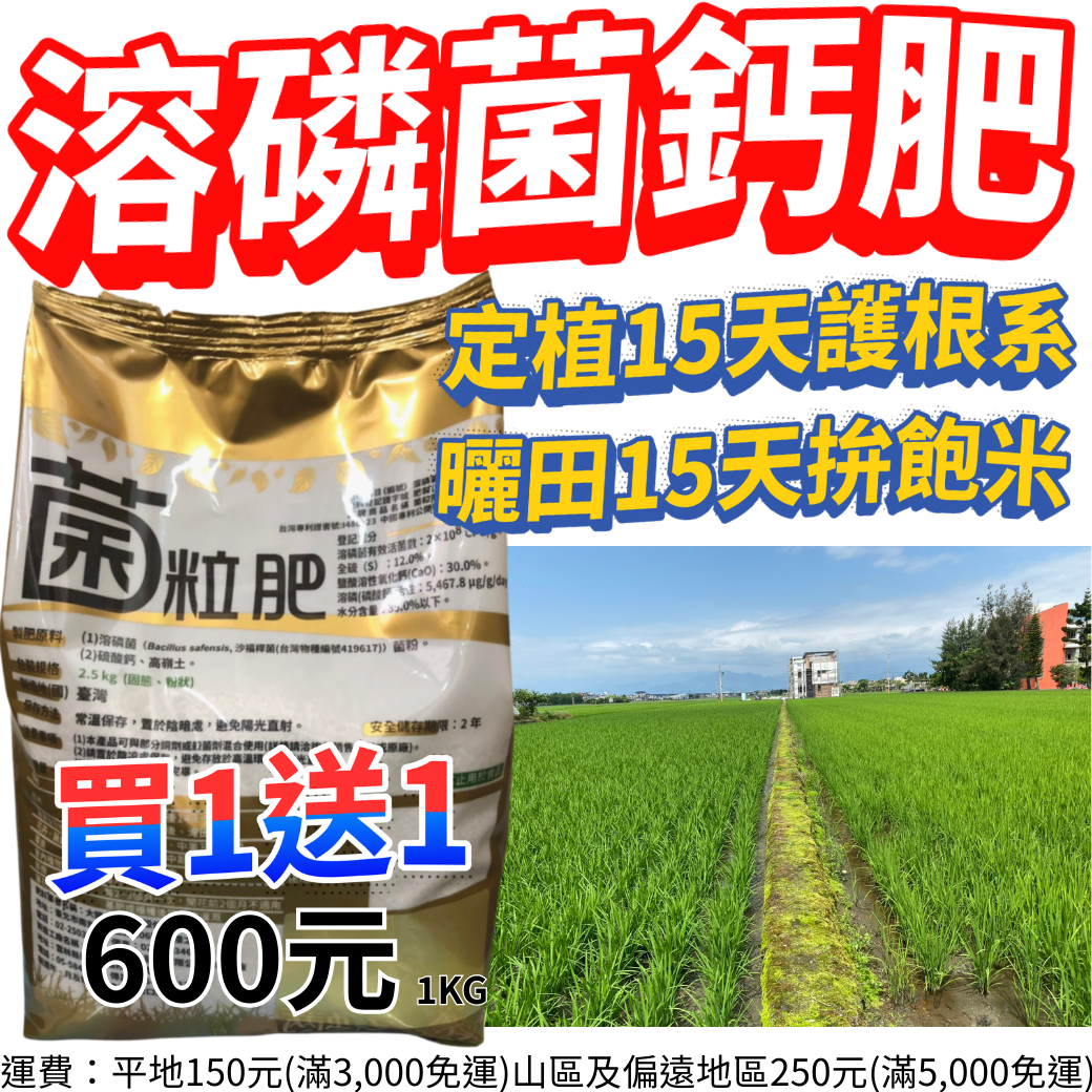 20260309【水稻專用菌粒肥2.5kg買1送1只要600元定植15天護根系、曬田15天拚飽米微生物肥料補助再省一半減少空包彈、穩產量又護土壤】