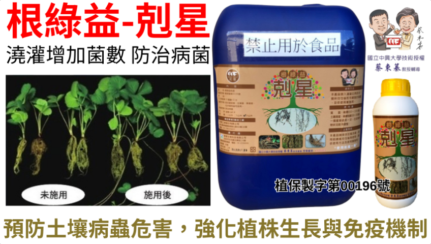 20260319根圈菌相太少、作物長不壯？根綠益剋星「澆灌＋葉面」雙管齊下，把好菌數一起拉上來！