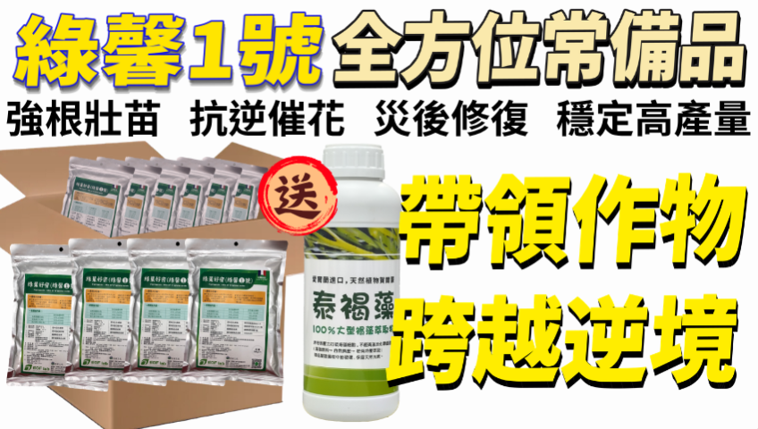 20260401帶領作物，跨越逆境！傳遞營養！點石成金！多雨高溫季節作物最怕爛根落葉！綠馨1號高濃度胺基酸 全作物皆適用，提升抗病抗蟲與災後修復 限時組合價4750元再送海藻精