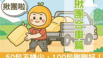 免等14天！田寶10、11號合車，田寶1、4號現貨自取 🚀