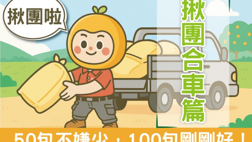 免等14天！田寶10、11號合車，田寶1、4號現貨自取 🚀