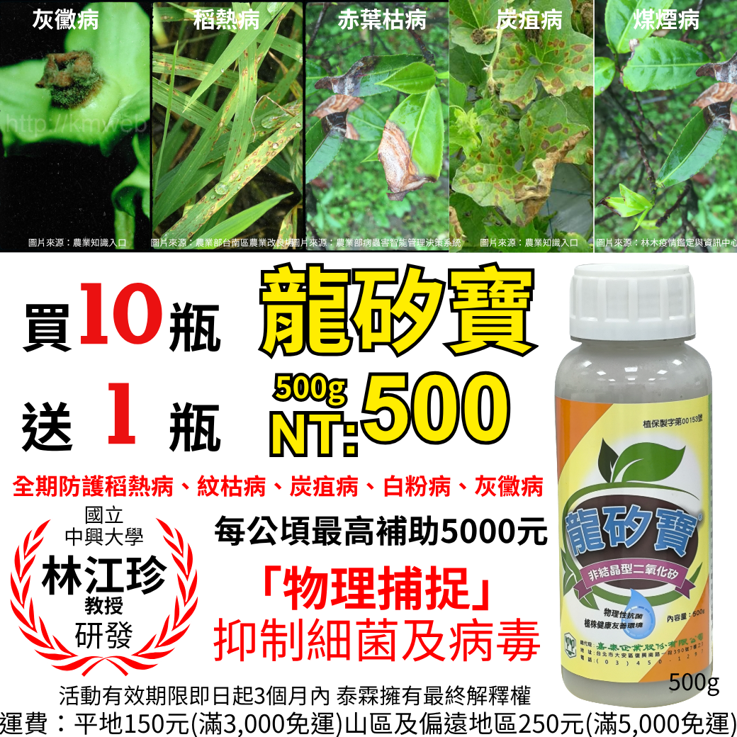 20260423一下雨病害就失控？龍矽寶500ml一瓶守全田 中興大學林江珍教授團隊研發技轉，雨後一噴啟動「病害防火牆」 「買10送1」等於多賺一瓶，再搭配每公頃最高補助5000元