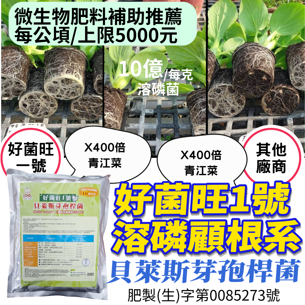 20260424好菌旺1號 買10包送綠馨1號200g×4包 微生物肥料補助一半 青蔥蔬菜果樹顧根顧肥 溶磷菌顧土壤磷肥有效性，綠馨再補有機氮與有機質 今天不補助就虧大了