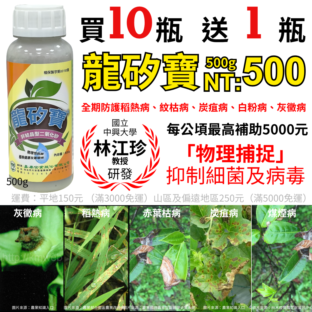 20260402一下雨病害就失控？龍矽寶500ml一瓶守全田 中興大學林江珍教授團隊研發技轉，雨後一噴啟動「病害防火牆」，活動期間買10送1。