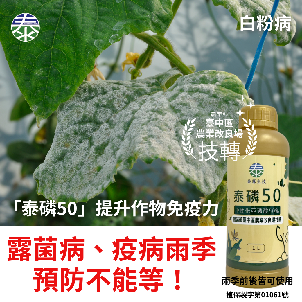 20260413【露菌病、疫病雨季預防不能等！泰磷50中性化亞磷酸1L 農業部臺中區農業改良場技轉配方，全作物葉噴500-1000倍、澆灌250-500倍，買6瓶送6瓶】