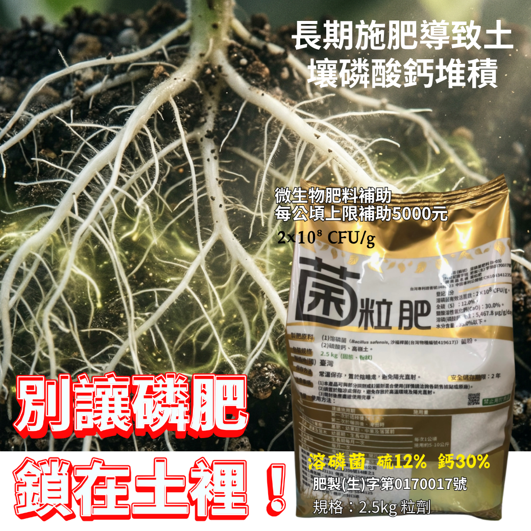 20260401【別讓磷肥鎖在土裡！大勝溶磷菌粒肥：解開土壤黃金的鑰匙】果樹強根補花 蔬菜定植必備 茄科瓜果救星