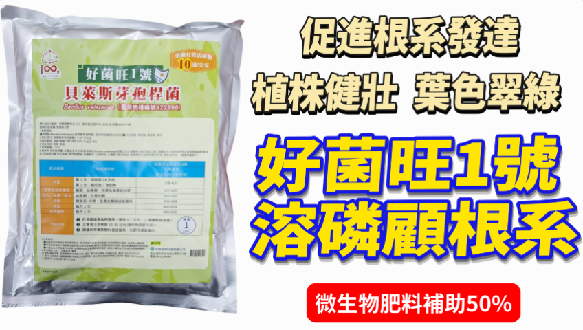 20260424好菌旺1號 買10包送綠馨1號200g×4包 微生物肥料補助一半 青蔥蔬菜果樹顧根顧肥 溶磷菌顧土壤磷肥有效性，綠馨再補有機氮與有機質 今天不補助就虧大了