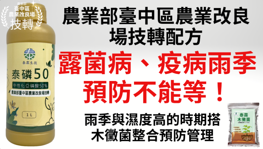 20260413【露菌病、疫病雨季預防不能等！泰磷50中性化亞磷酸1L 農業部臺中區農業改良場技轉配方，全作物葉噴500-1000倍、澆灌250-500倍，買6瓶送6瓶】