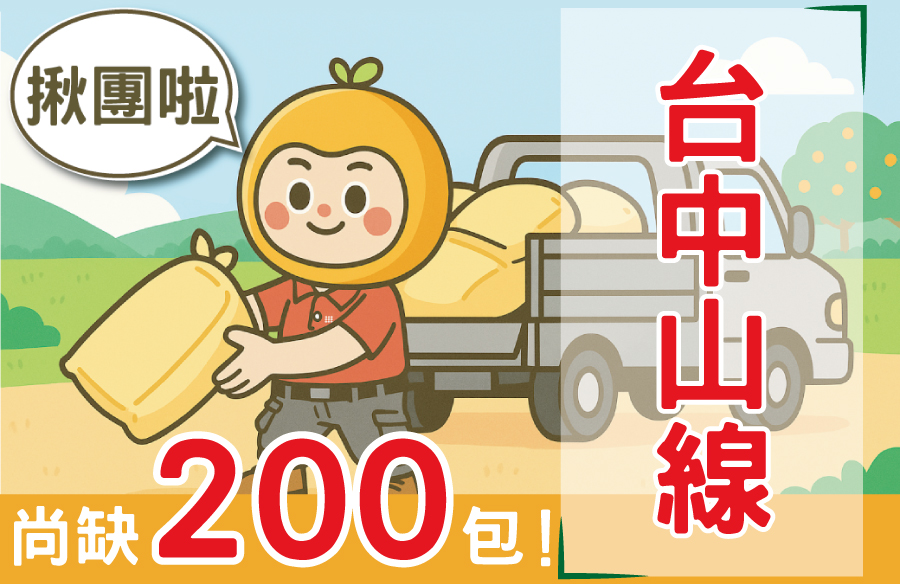 免等14天！田寶10、11號合車，田寶1、4號現貨自取 🚀