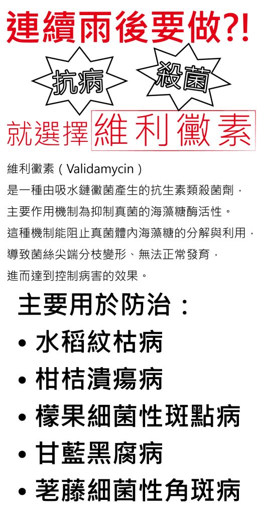 20260430維利黴素主要作用機制為抑制真菌的海藻糖酶活性。用於防治水稻紋枯病、柑桔潰瘍病、檬果細菌性斑點病、甘藍黑腐病、荖藤細菌性角斑病