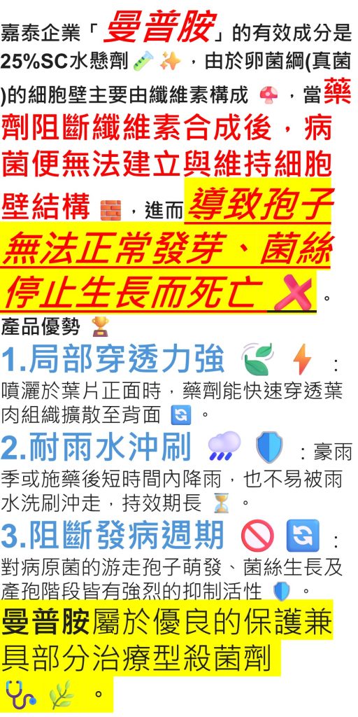 20260515嘉泰企業「曼普胺」的有效成分是25%SC水懸劑，當藥劑阻斷纖維素合成後，病菌便無法建立與維持細胞壁結構，進而導致孢子無法正常發芽、菌絲停止生長而死亡
