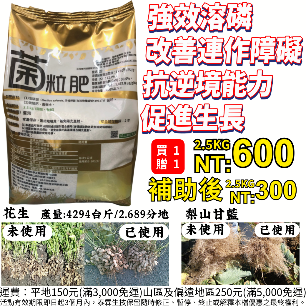 20260508菌粒肥主內含，強勢菌種：「沙福桿菌 (Bacillus safensis)」，是目前微生物肥料中非常核心且強效的菌種，特別是以溶磷能力著稱。