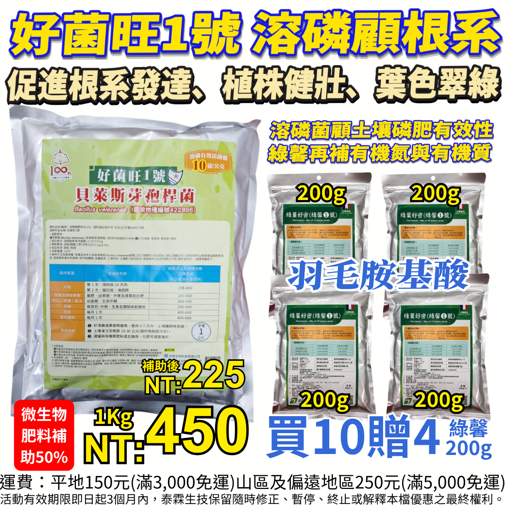 20260504貝萊斯芽孢桿菌（Bacillus velezensis，簡稱 BV）是一種環境友善的革蘭氏陽性益生菌，廣泛應用於農業作為生物農藥及微生物肥料。