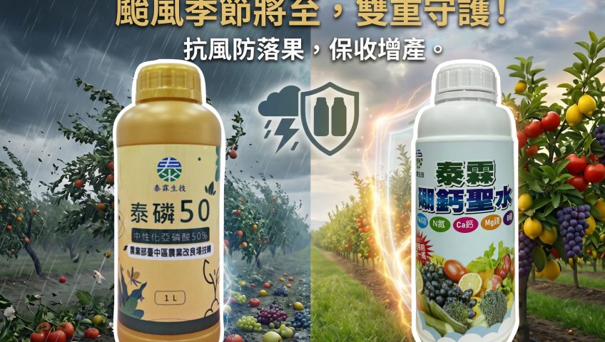20260527-抗颱