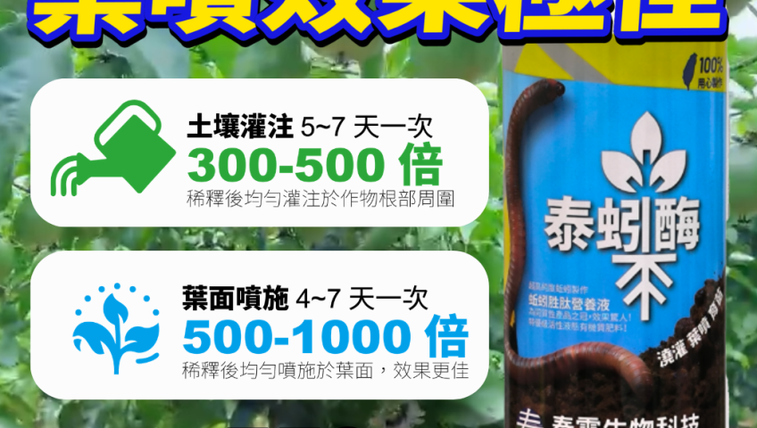 20260527葉噴效果超驚人！蚯蚓酵素-泰蚓酶，作物葉綠又豐收