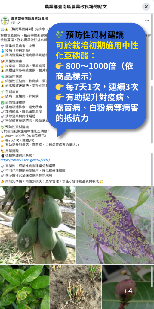 20260518臺中區農業改良場研發的「50% 中性化亞磷酸溶液配方」，這項技術徹底解決了傳統固體亞磷酸「容易潮解」和「農友自行調配不便」的兩大痛點。