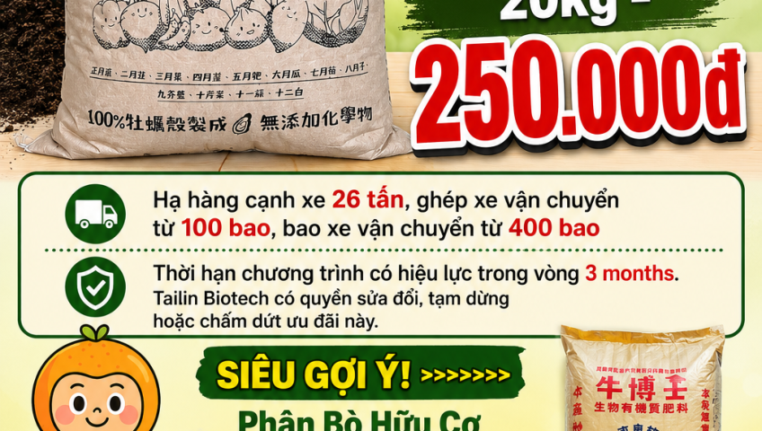 【Giới Thiệu Vật Tư Mỗi Ngày】20260610 🔥 BỘT VỎ HÀU TỰ NHIÊN 100% TỪ TAISUGAR (20 KG) – ĐANG BÁN CHẠY ĐẮT HÀNG! 👉 Bậc thầy khử chua và cải tạo đất chua, giá chỉ từ 250 TWD/bao giao tận nhà! ✨01