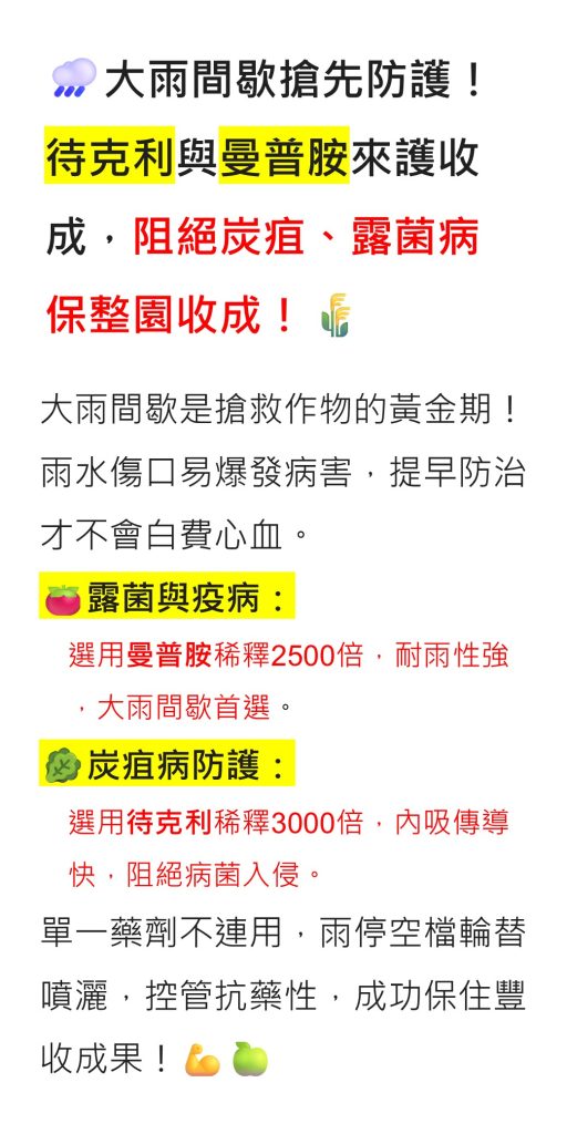 20260612大雨間歇搶先防護！待克利與曼普胺來護收成，阻絕炭疽、露菌病保整園收成！