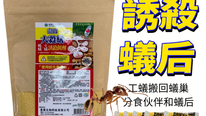 20260605【泰霖大殺蟻】家裡、田裡螞蟻總是除不盡？農改場配方專門滅巢的秘密武器，幫你一網打盡！