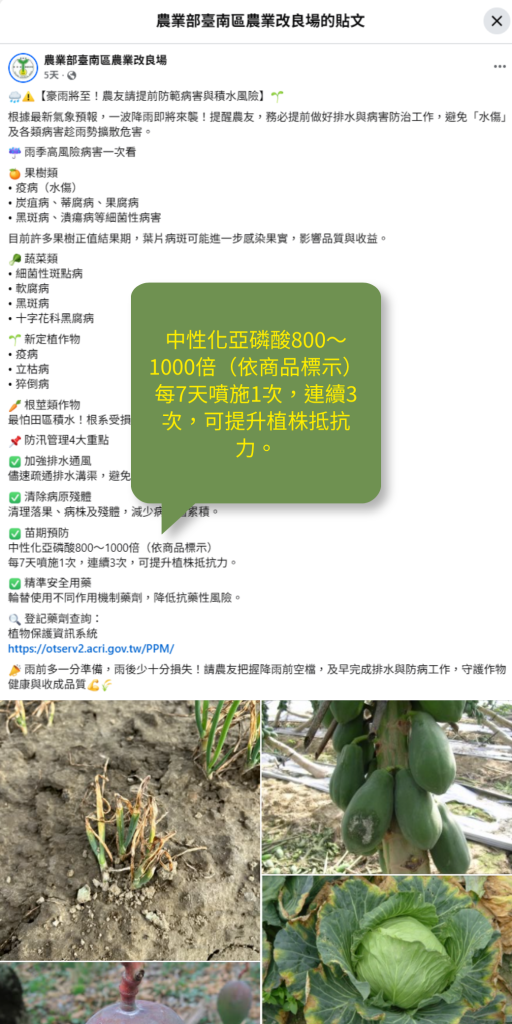 20260604豪雨將至！臺南農改良場提醒建議：雨前防病是關鍵！滯留鋒面與雨季高溫多濕，易爆發疫病與炭疽病，建議務必在雨前噴施「中性化亞磷酸」提升作物免疫力！