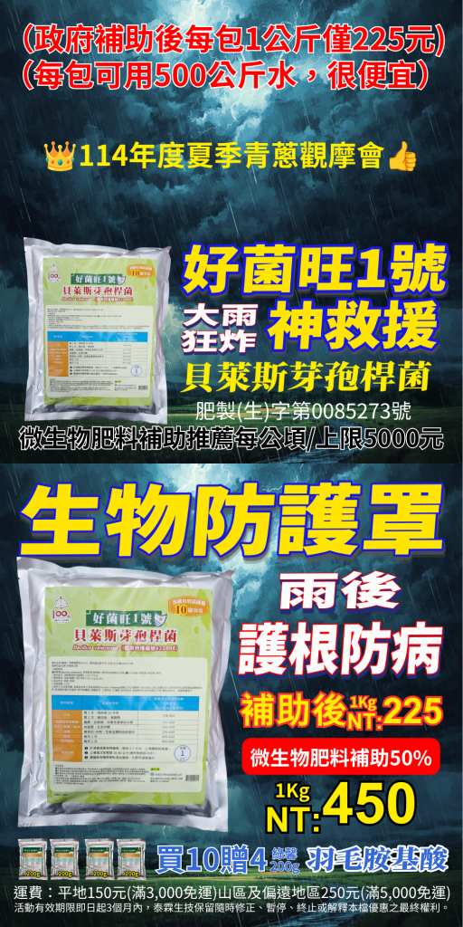 20260611大雨狂炸 農損心淌血？雨後病害防線這樣守！貝萊斯芽孢桿菌神救援 好菌旺1kg熱賣中