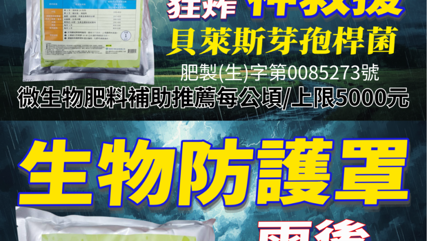 20260611大雨狂炸 農損心淌血？雨後病害防線這樣守！貝萊斯芽孢桿菌神救援 好菌旺1kg熱賣中
