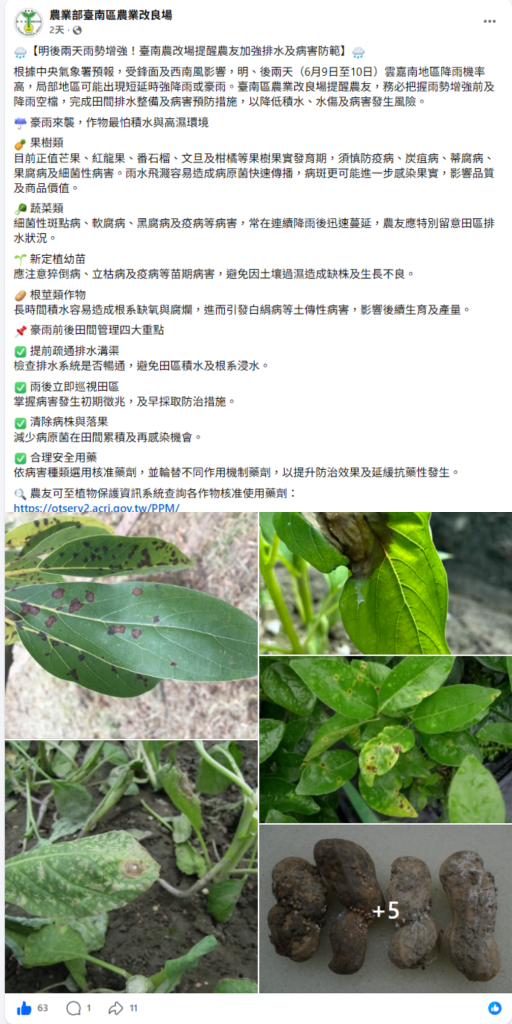 20260611大雨狂炸 農損心淌血？雨後病害防線這樣守！貝萊斯芽孢桿菌神救援 好菌旺1kg熱賣中