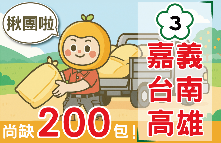 國3 嘉義 台南 高雄