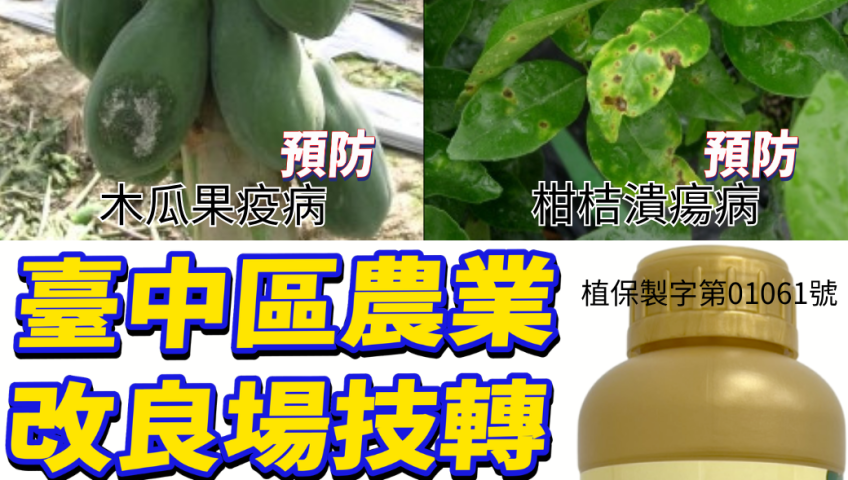 20260604豪雨將至！臺南農改良場提醒建議：雨前防病是關鍵！滯留鋒面與雨季高溫多濕，易爆發疫病與炭疽病，建議務必在雨前噴施「中性化亞磷酸」提升作物免疫力！