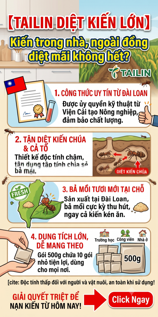 【Giới Thiệu Vật Tư Mỗi Ngày】20260605

【TAISAN DIỆT KIẾN LỚN】Kiến trong nhà, ngoài đồng diệt mãi không hết?