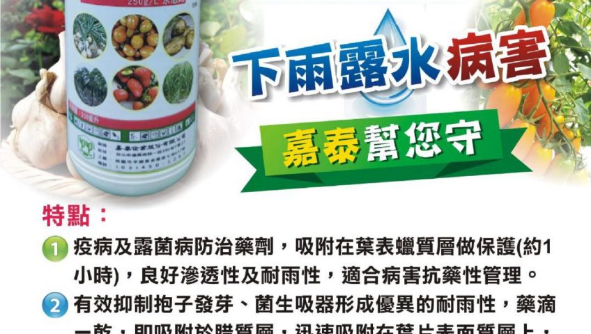 20260612大雨間歇搶先防護！待克利與曼普胺來護收成，阻絕炭疽、露菌病保整園收成！