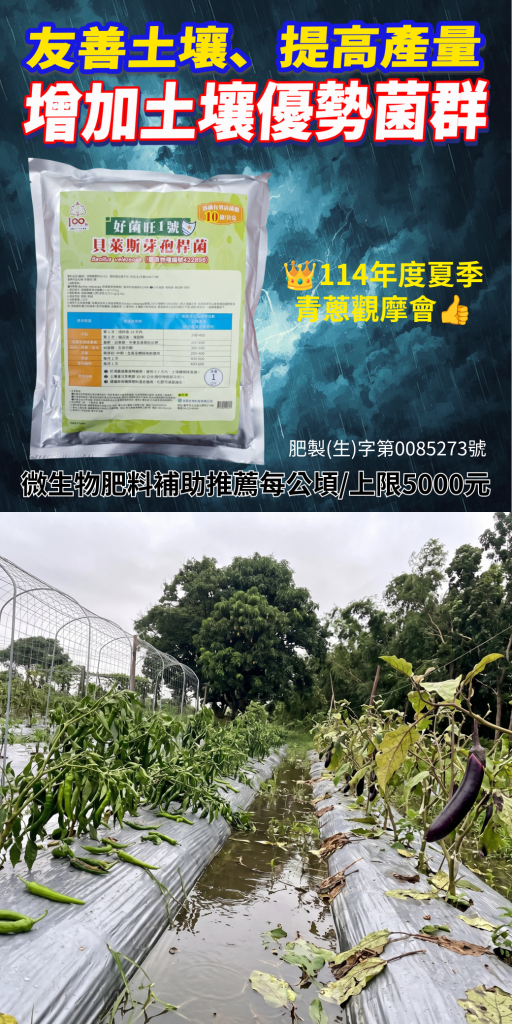 20260715風雨過後救作物！施用好菌旺1號增加土壤優勢菌群，活化根圈，快速恢復生長勢！