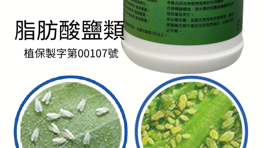 20260728維護作物健康好幫手！泰粉絲植保資材物理防護害蟲，輕鬆改善園區環境質感！