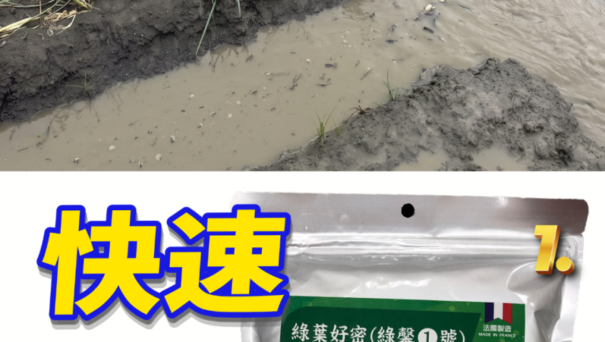 20260709颱風淹水免驚！泰霖綠馨1號游離氨基酸快速補血，抗澇修復傷口、對抗災後高溫，助作物起死回生！