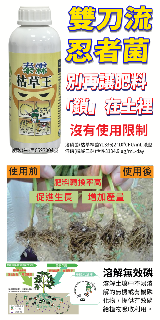 20260722肥料下那麼多，作物還是吃不飽？別再讓肥料「鎖」在土裡了！別怕！【泰霖枯草王】帶著微生物「神隊友」來幫忙！