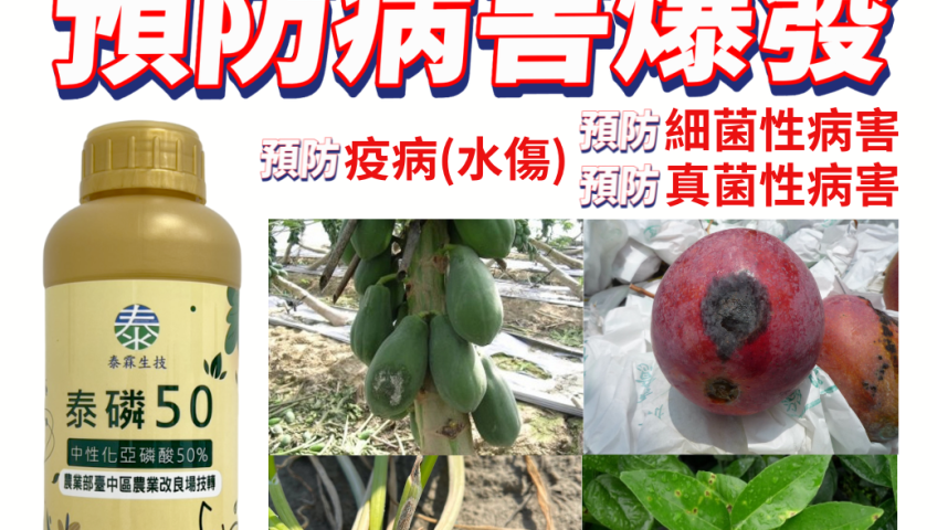 20260706巴威颱風來襲！提早預防病害【泰磷50】中性亞磷酸買1送1，把握黃金期減少風雨傷害