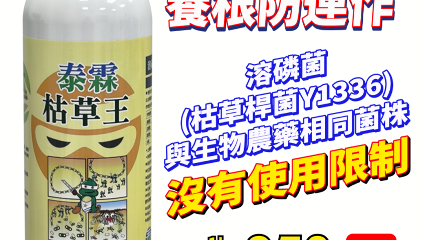 20260722肥料下那麼多，作物還是吃不飽？別再讓肥料「鎖」在土裡了！別怕！【泰霖枯草王】帶著微生物「神隊友」來幫忙！